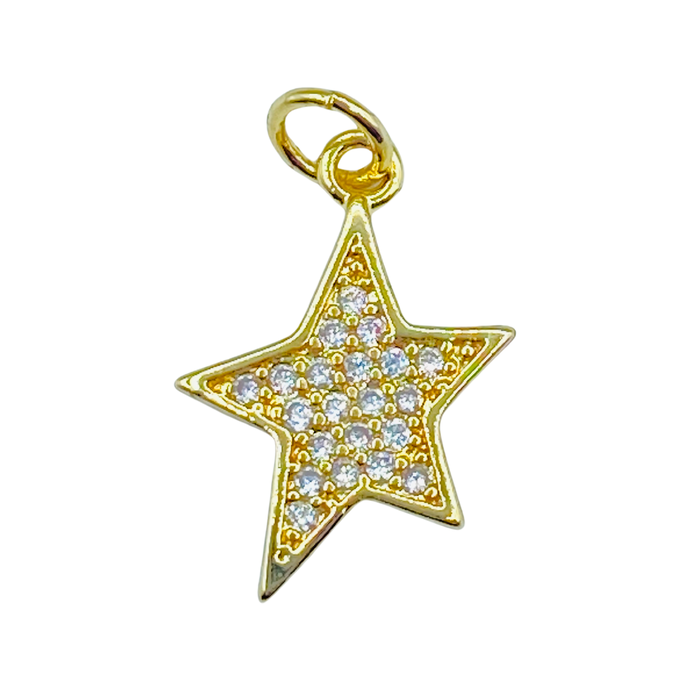 EXPRESS YOURSELF CRYSTAL STAR EARRING CHARM