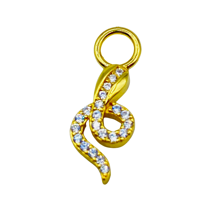 EXPRESS YOURSELF SNAKE EARRING CHARM